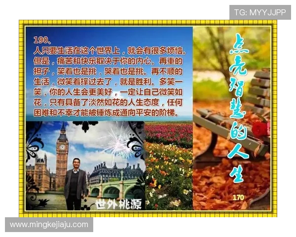 天天亦铭网：洞悉时代脉搏，点亮智慧人生